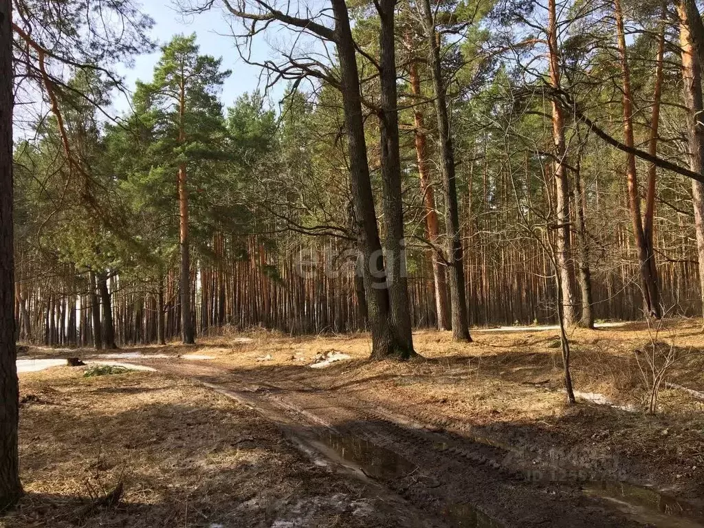 Участок в Тамбовская область, Тамбовский муниципальный округ, Новая ... - Фото 0