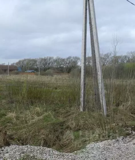 Участок в Новгородская область, Новгородский район, д. Новое Сергово  ... - Фото 1