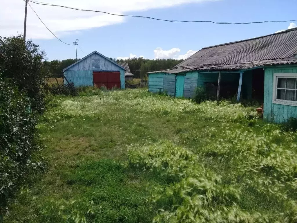 Дом в Калачинский район, деревня Горошино, Горошинская улица (58.8 м),  Купить дом Горошино, Калачинский район, ID объекта - 50005840948