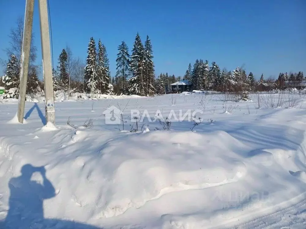 Участок в Московская область, Солнечногорск городской округ, д. ... - Фото 1