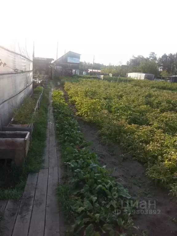 Дом в Саха (Якутия), Якутск Сергеляхское шоссе, 12-й км (36 м) - Фото 1