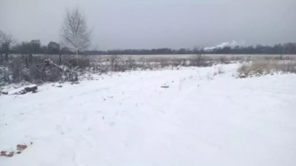 Участок в Московская область, Орехово-Зуевский городской округ, д. ... - Фото 1