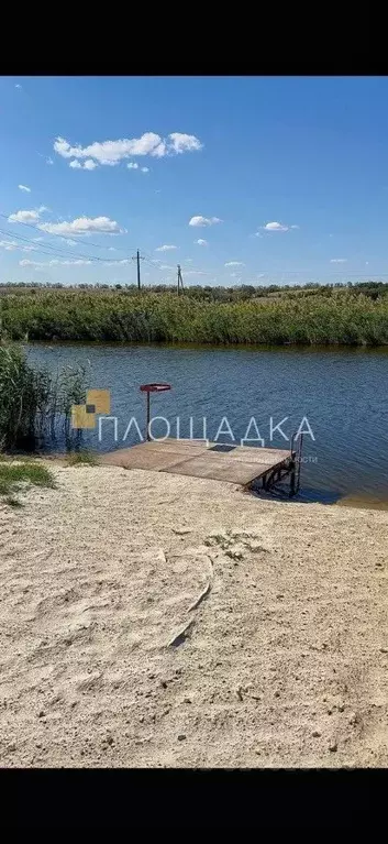 Участок в Ростовская область, Родионово-Несветайский район, ... - Фото 1