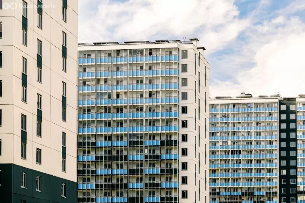 1-комнатная квартира: Мурино, Графская улица, 6к4 (35 м) - Фото 2