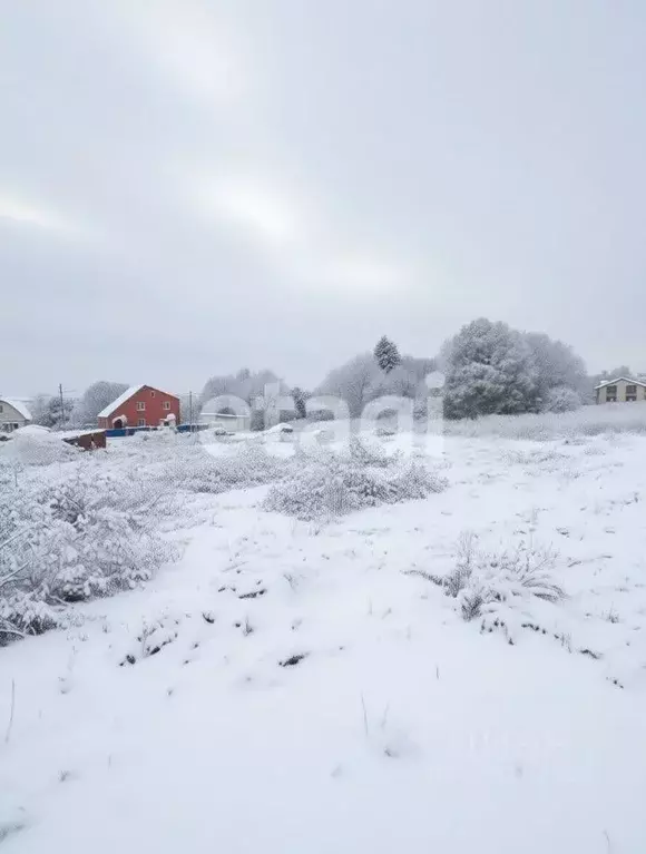 Участок в Тульская область, Тула городской округ, д. Волоть 254 ... - Фото 2