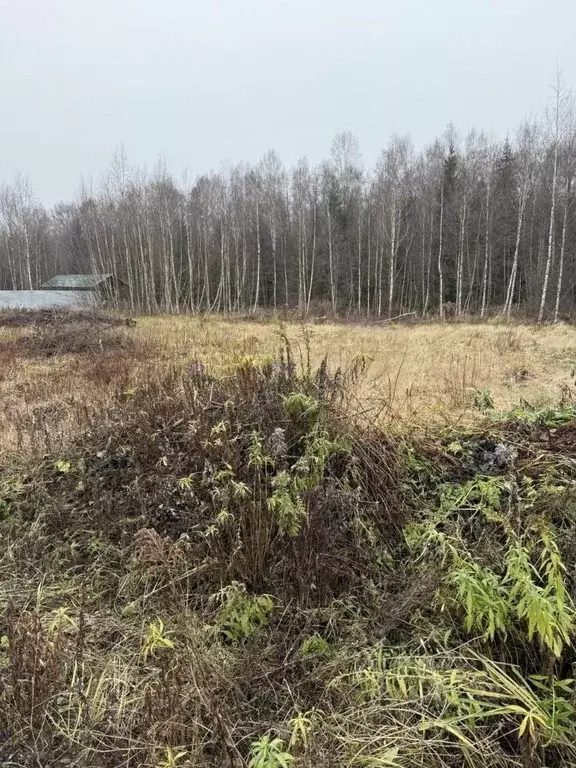 Участок в Московская область, Щелково городской округ, Утро СНТ 229 ... - Фото 1