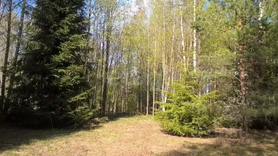 Участок в Ленинградская область, Волховский район, Хваловское с/пос, ... - Фото 1