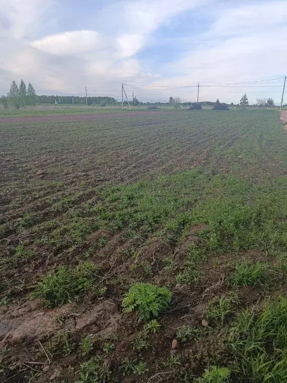 Участок в Нижегородская область, Кстовский муниципальный округ, с. ... - Фото 0