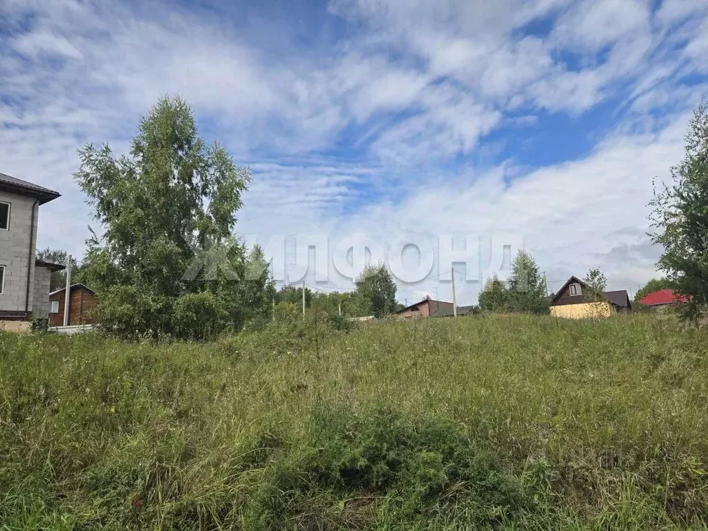 Участок в Новосибирская область, Новосибирск Зеленодолинская ул., 209 ... - Фото 1