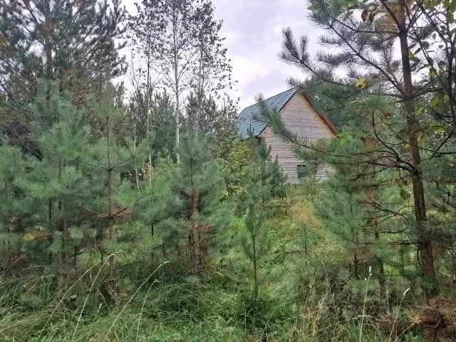Дом в Томская область, Томский район, пос. Копылово ул. Речная, 4 (36 ... - Фото 2
