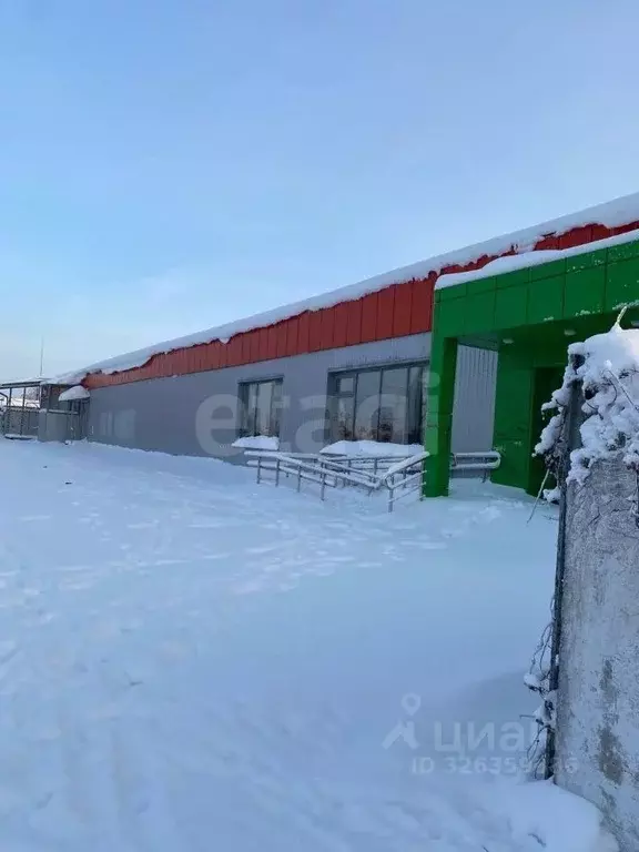 Торговая площадь в Брянская область, Новозыбков ул. Рошаля, 42 (486 м) - Фото 2