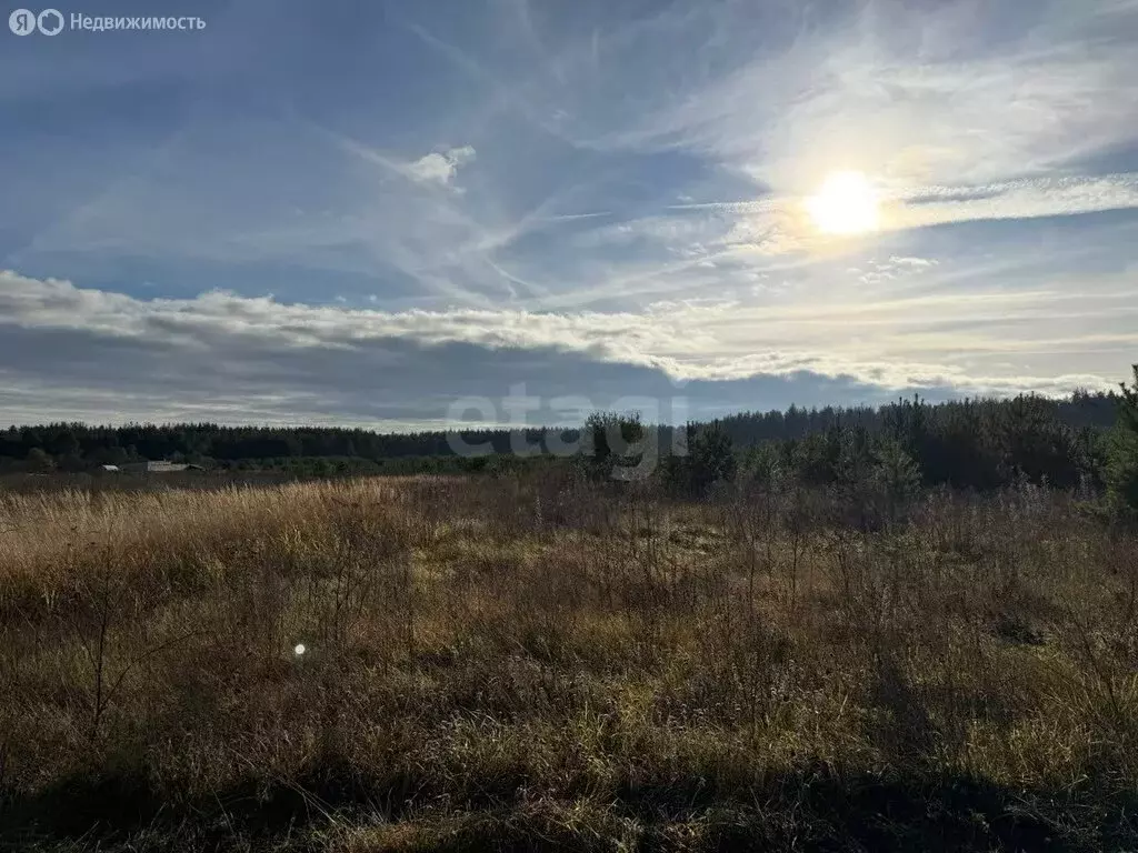 Участок в муниципальное образование Новосельское, деревня Черноситово ... - Фото 2