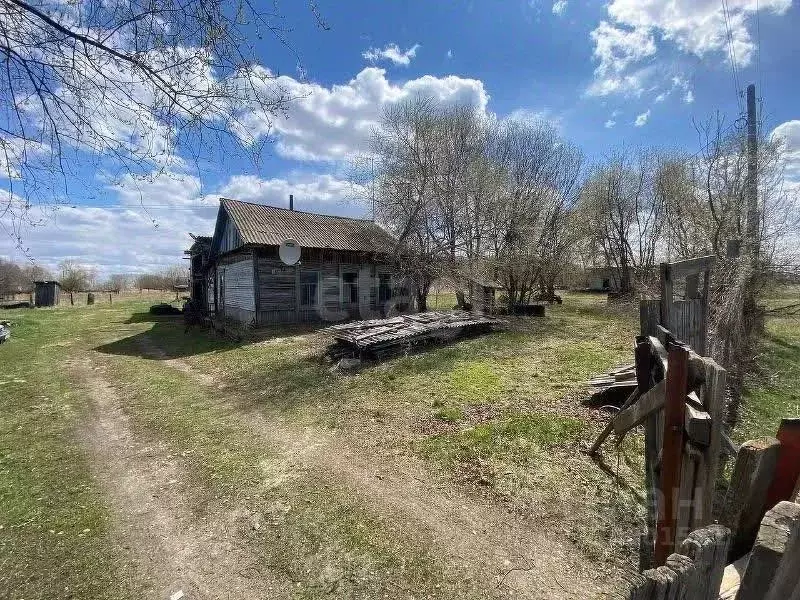 Дом в Амурская область, Ивановский муниципальный округ, с. ... - Фото 1