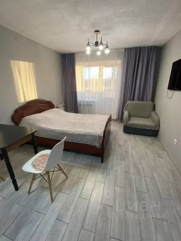 Студия Вологодская область, Вологда ул. Гагарина, 80Ак3 (25.0 м) - Фото 1