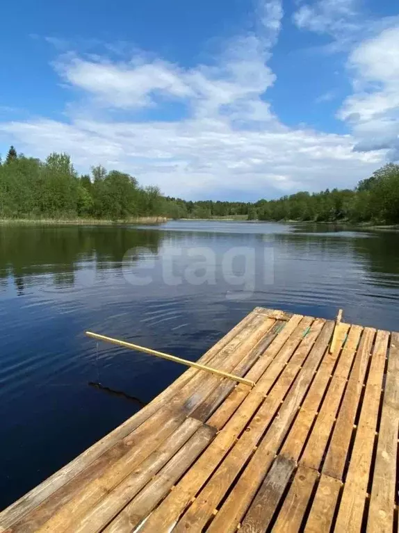 Дом в Новгородская область, Валдайский район, Едровское с/пос, д. ... - Фото 1