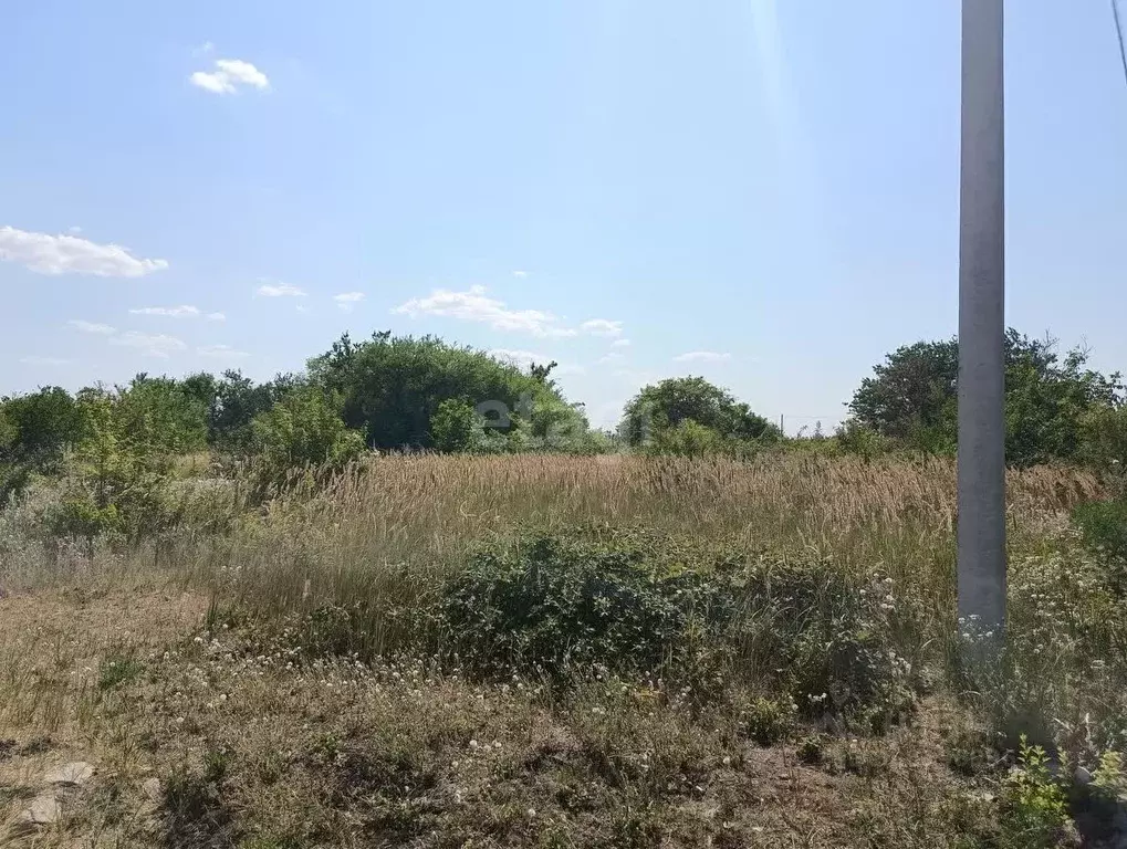 Участок в Краснодарский край, Ейск Виктория СНТ,  (5.0 сот.) - Фото 1