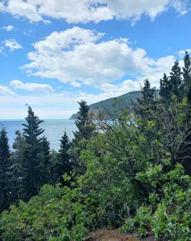 Свободной планировки кв. Крым, Алушта муниципальный округ, с. ... - Фото 1