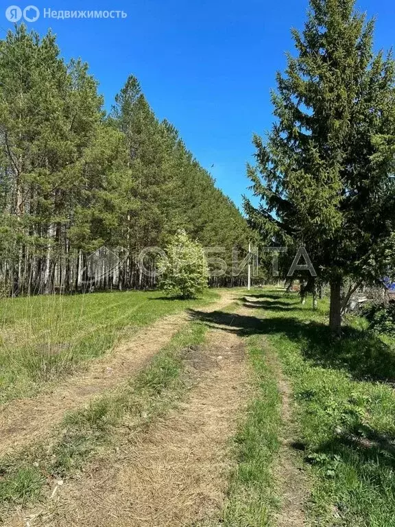 Участок в Тюменский муниципальный округ, СНТ Лесник-2 (9.78 м) - Фото 1