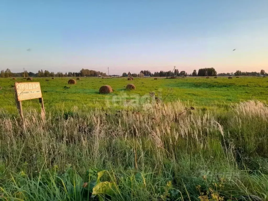 Участок в Ярославская область, Ярославский муниципальный округ, д. ... - Фото 1