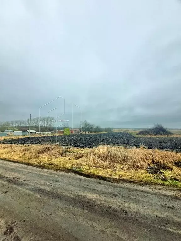 Участок в Мордовия, Лямбирский район, Саловское с/пос, д. Новая ... - Фото 1