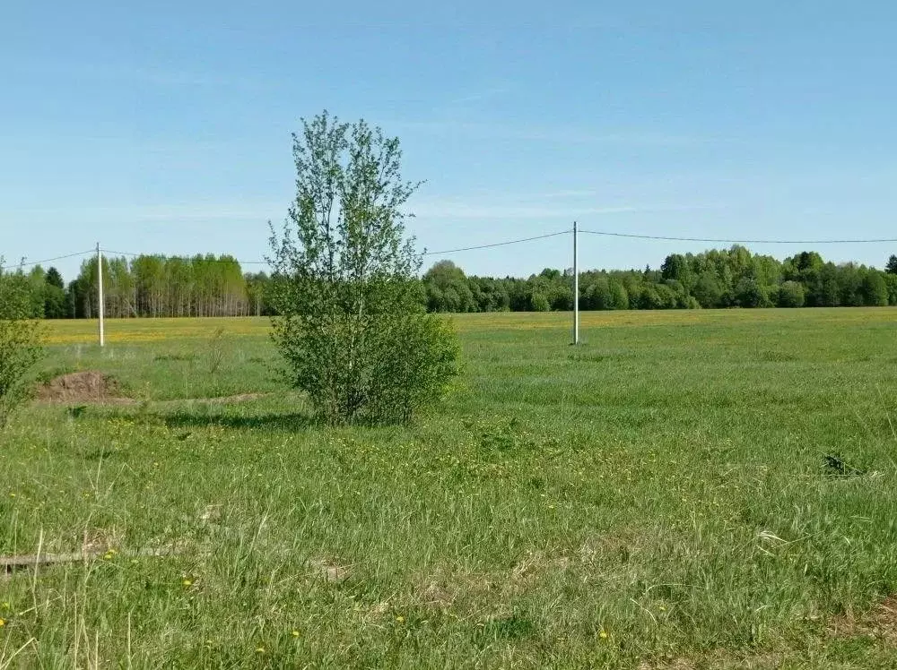Участок в Пермский край, Пермский муниципальный округ, пос. Красный ... - Фото 2