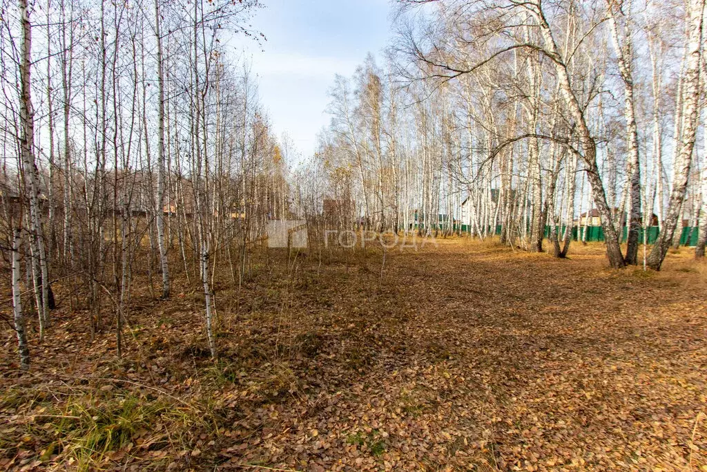 Участок в Новосибирский район, Криводановский сельсовет, село Марусино ... - Фото 0