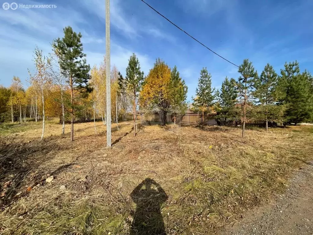 Участок в Лямбирский район, Саловское сельское поселение, село ... - Фото 2