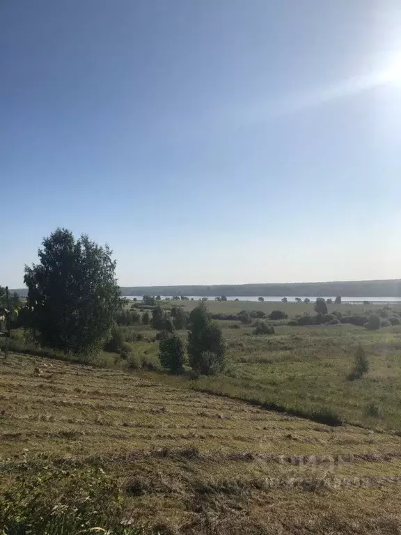 Участок в Ярославская область, Угличский муниципальный округ, д. ... - Фото 2