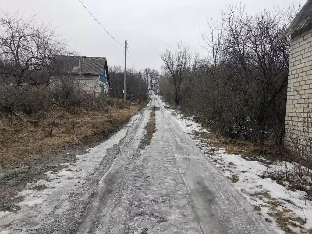 Дом в Белгородская область, Белгородский район, Стрелецкое с/пос, ... - Фото 1