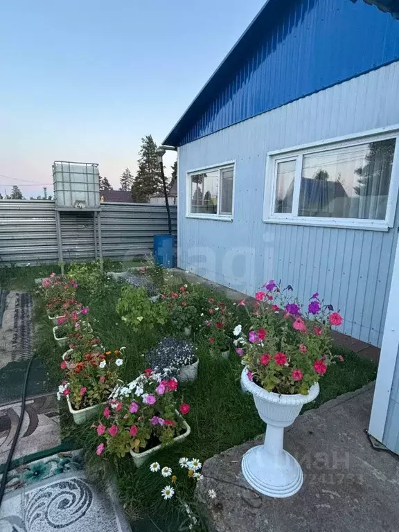 Дом в Ямало-Ненецкий АО, Муравленко Дружба СНТ, пер. Лесной, 15 (61 м) - Фото 2