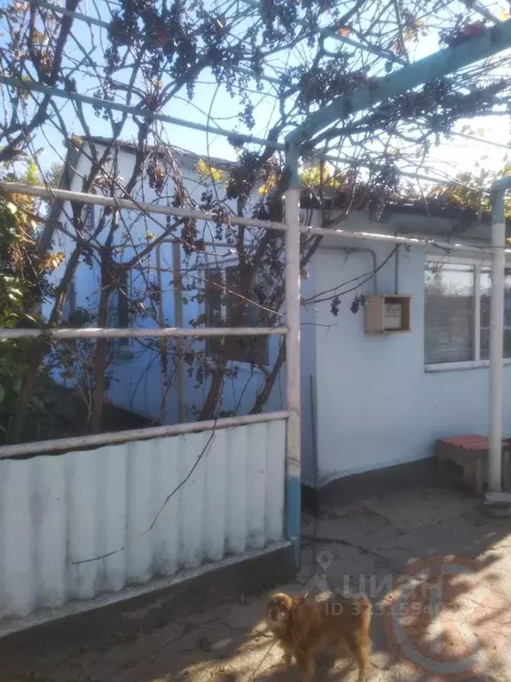 Дом в Крым, Раздольненский район, Славянское с/пос, с. Аврора ул. ... - Фото 2