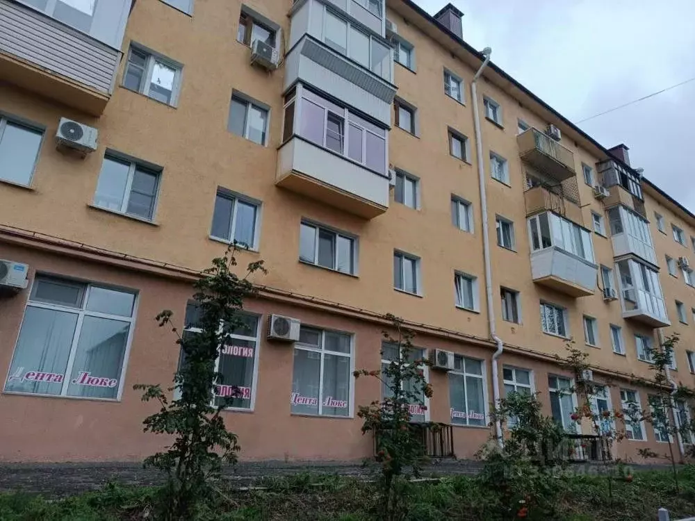 Помещение свободного назначения в Омская область, Омск Ильинская ул., ... - Фото 1