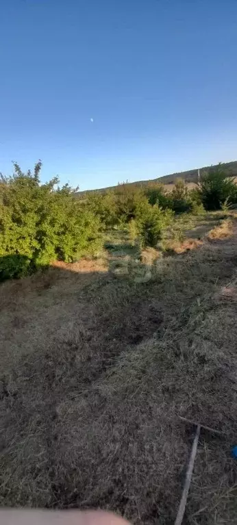 Участок в Краснодарский край, Новороссийск городской округ, ... - Фото 2