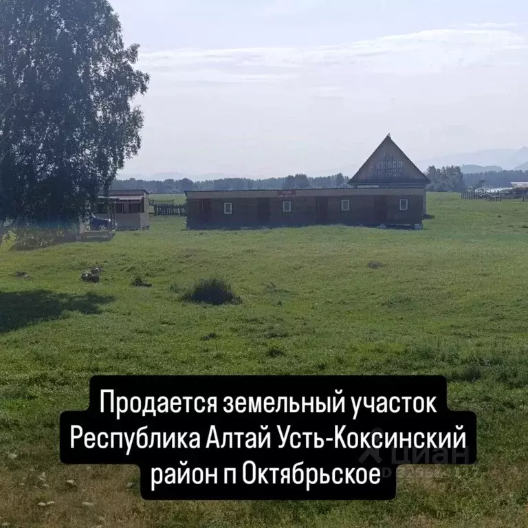 Участок в Алтай, Усть-Коксинский район, пос. Октябрьское Набережная ... - Фото 2