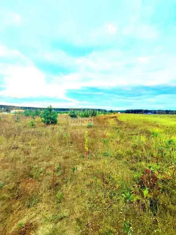 Участок в Московская область, Егорьевск муниципальный округ, д. Жучата ... - Фото 2