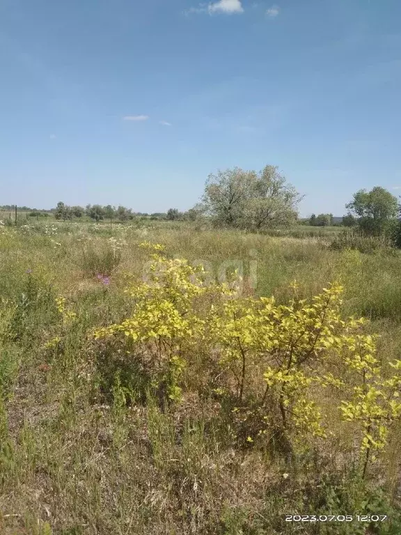 Участок в Тюменская область, Ишимский район, с. Гагарино ул. Мира ... - Фото 1