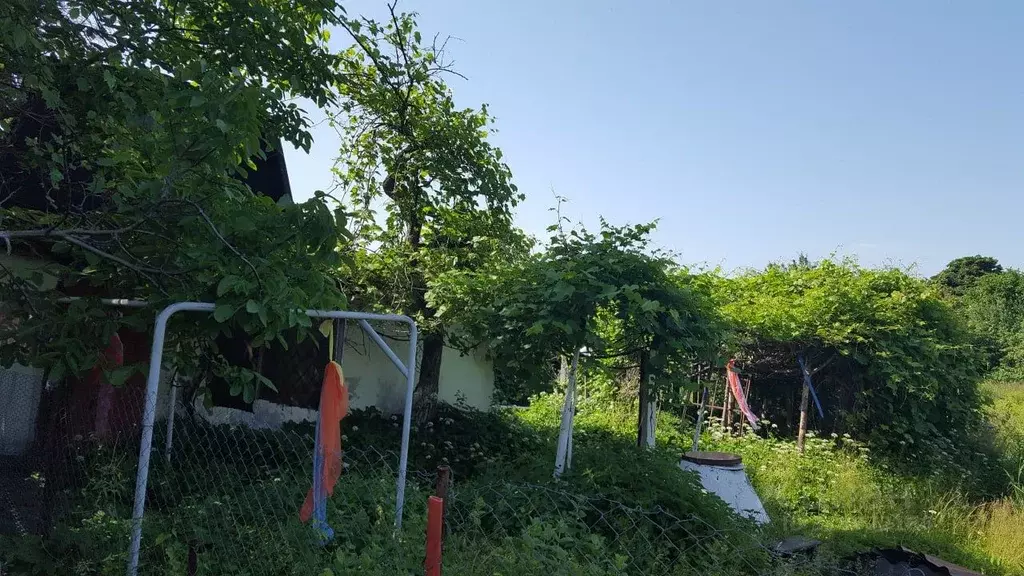 Участок в Калининградская область, Балтийск Труд СНТ,  (15.75 сот.) - Фото 0