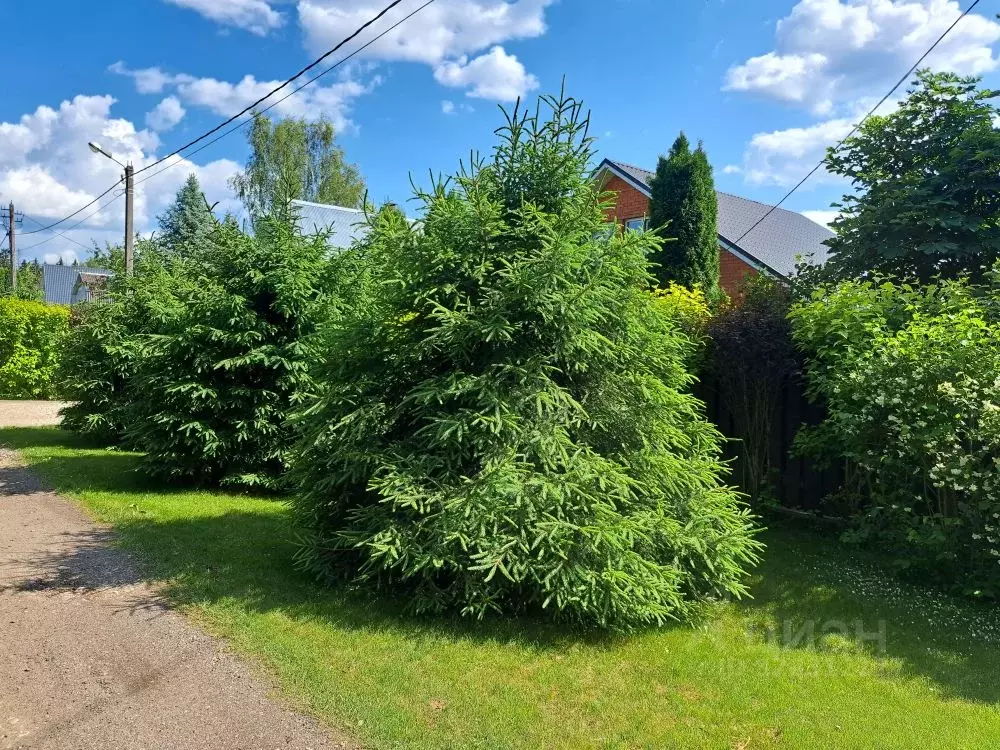 Участок в Московская область, Истра муниципальный округ, д. Покровское ... - Фото 1