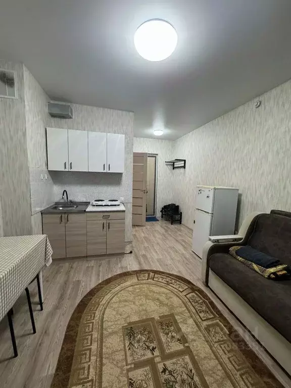 1-к кв. Новосибирская область, Новосибирск ул. Титова, 257/2 (20.0 м) - Фото 2