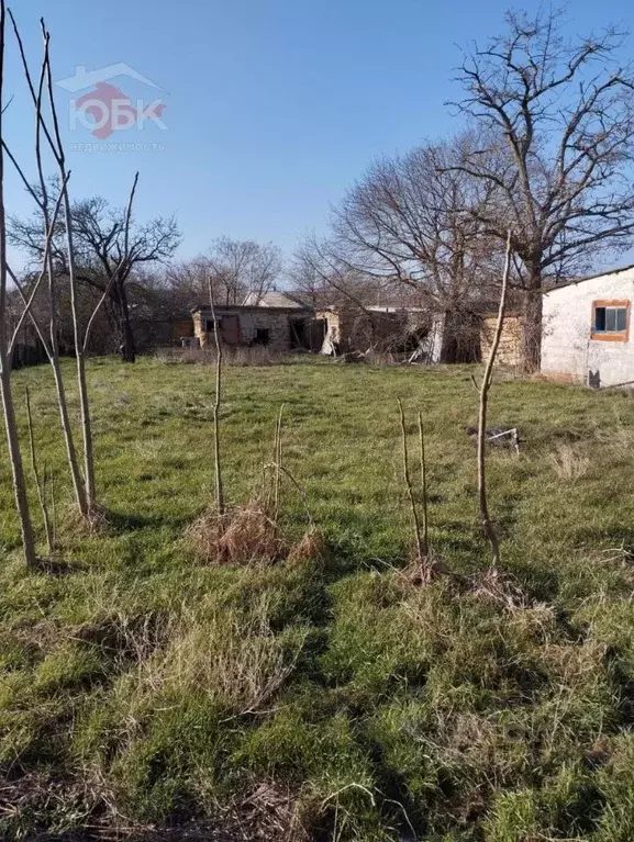 Дом в Крым, Сакский район, с. Молочное ул. Пионерская (50 м) - Фото 1