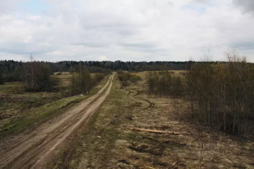 Участок в Новгородская область, Демянский муниципальный округ, д. ... - Фото 1