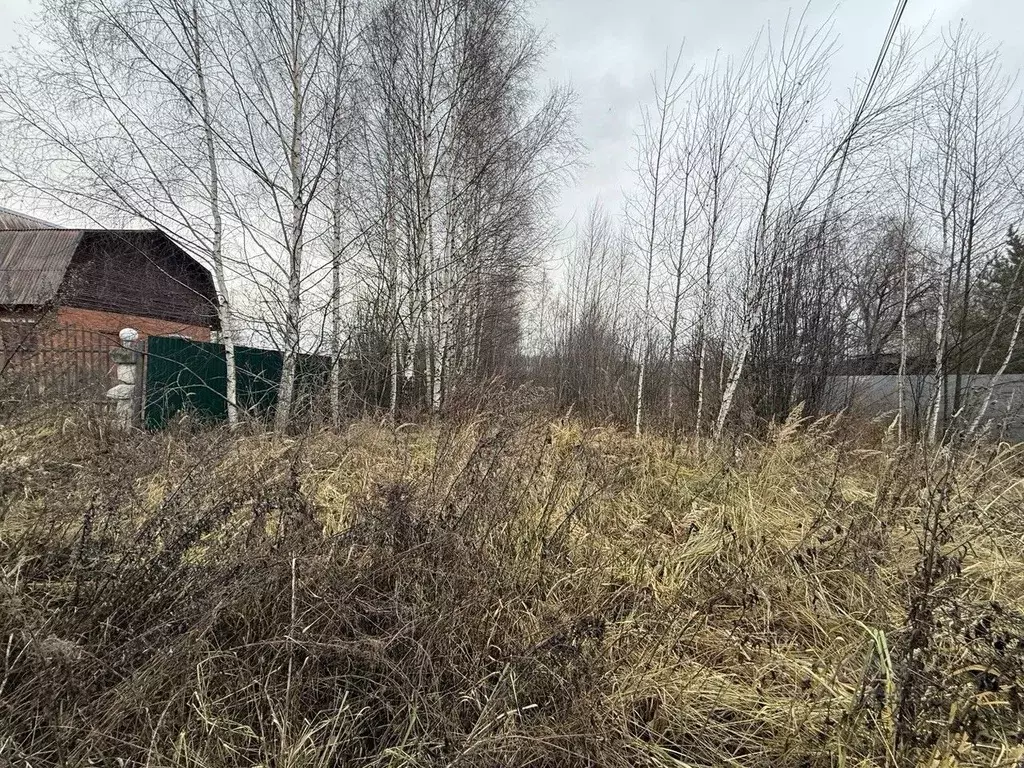 Участок в Московская область, Орехово-Зуевский городской округ, д. ... - Фото 0