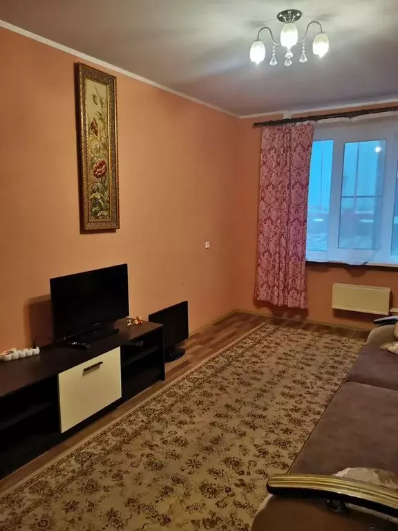1-к кв. Московская область, Электросталь ул. Пушкина, 22/11 (31.0 м) - Фото 1