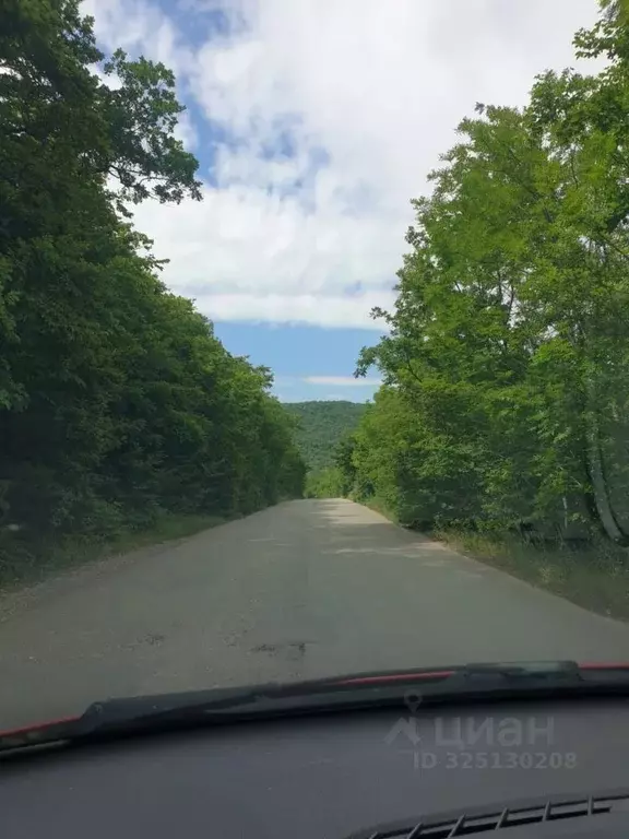 Участок в Краснодарский край, Новороссийск городской округ, с. ... - Фото 1