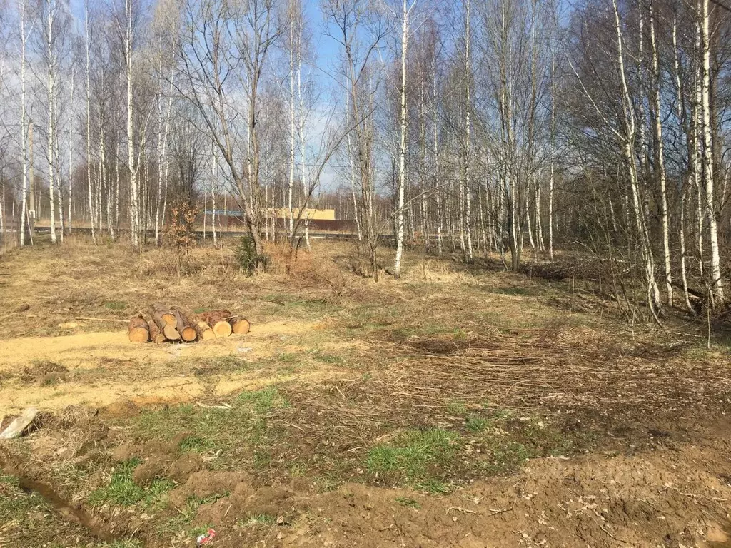 Участок в Московская область, Пушкинский городской округ, д. Могильцы  ... - Фото 0