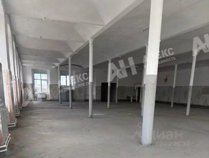 Склад в Московская область, Ногинск Богородский городской округ, ул. ... - Фото 1