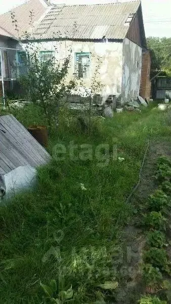 Участок в Белгородская область, Белгород Дальние Пески мкр,  (8.0 ... - Фото 1