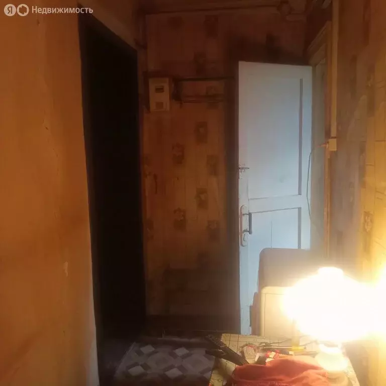 1-комнатная квартира: Карпушиха, улица Пушкина, 24 (29 м) - Фото 0