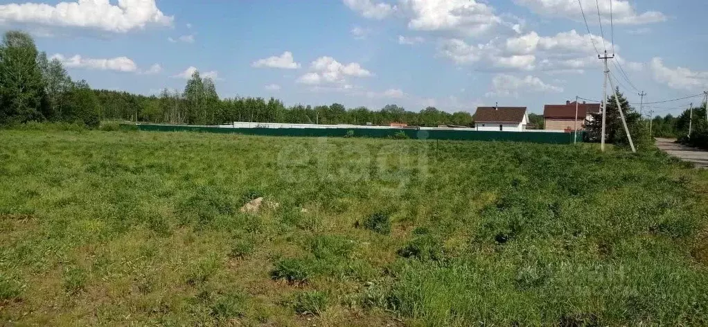 Участок в Московская область, Богородский городской округ, с. ... - Фото 1