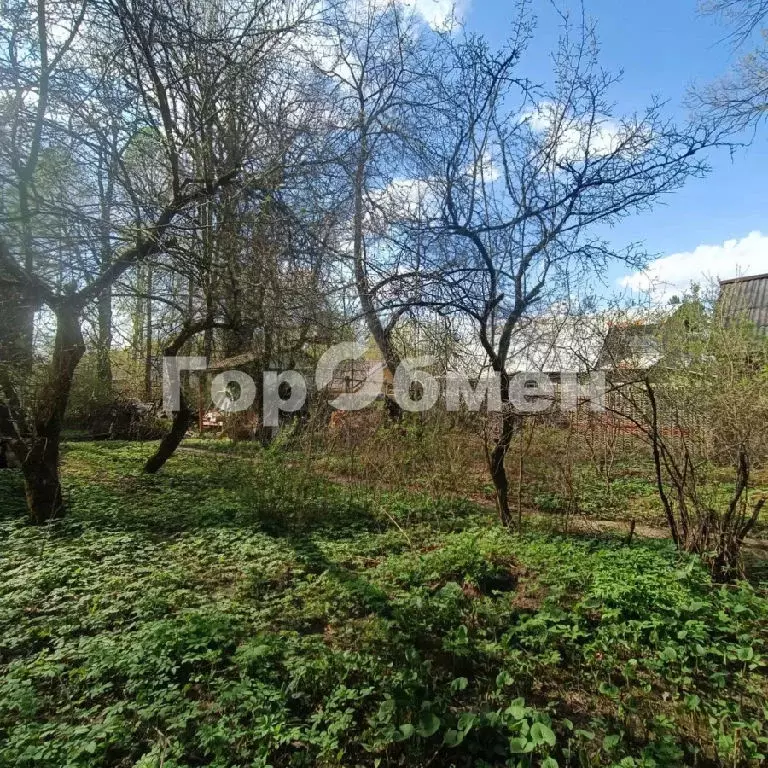 Продается участок в с. Дубки - Фото 2